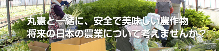 丸憲と一緒に、安全で美味しい農作物、将来の日本に農業について考えませんか？